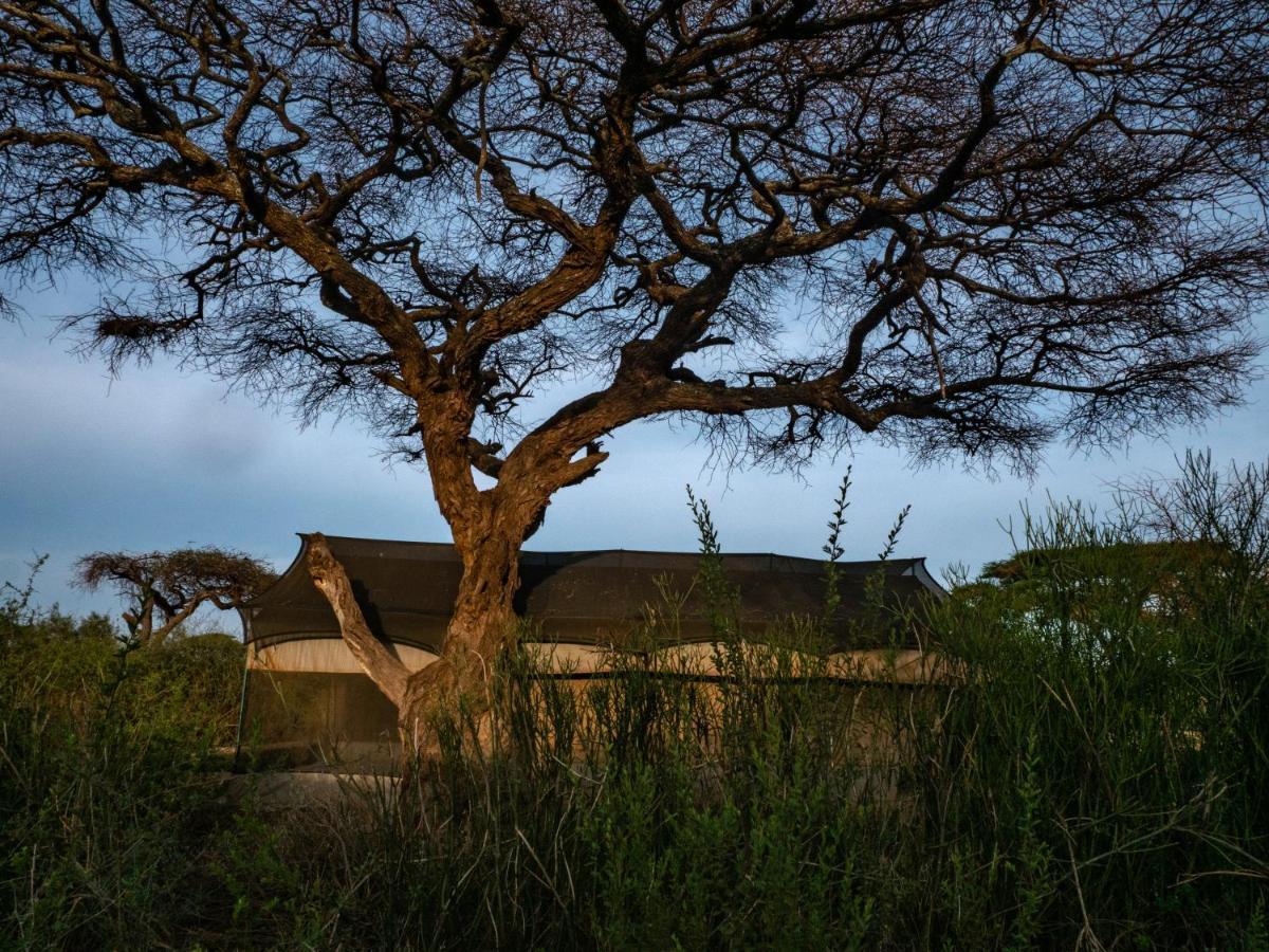 Tulia Amboseli Safari Camp Ξενοδοχείο Εξωτερικό φωτογραφία